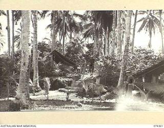 SIAR, NEW GUINEA. 1944-06-25. THE CAMP AREA OF THE COMMANDING OFFICER OF THE 57/60TH INFANTRY BATTALION. IDENTIFIED PERSONNEL ARE:- VX108132 LIEUTENANT-COLONEL R.R. MARSTON, DSO, ED, COMMANDING ..