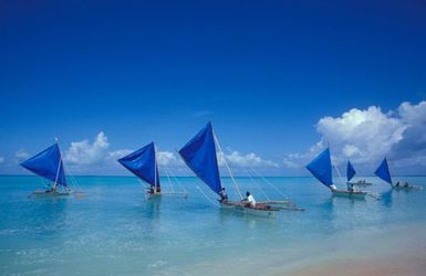 Canoes racing