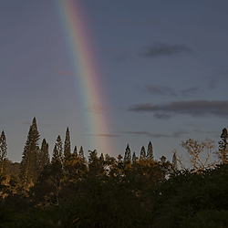 Île des Pins Cimetière des Condamnés, New Caledonia