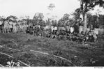 LUMI, NEW GUINEA, 1943-07-09. GROUP PORTRAIT OF MEMBERS OF M SPECIAL UNIT, SERVICES RECONNAISSANCE DEPARTMENT, ALLIED INTELLIGENCE BUREAU, WITH NATIVE GUERRILLA TROOPS AT LUMI, ABOUT 50 KILOMETRES ..