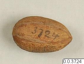 ["Nöt, nöt (slungsten)"]