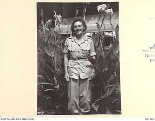 LAE, NEW GUINEA. 1945-05-15. CORPORAL W. SHEPPARD OF ORDNANCE, HEADQUARTERS FIRST ARMY, STANDING BESIDE CANNAS GROWING OUTSIDE THE OFFICE. A FEW DAYS AFTER THEIR ARRIVAL FROM AUSTRALIA AUSTRALIAN ..