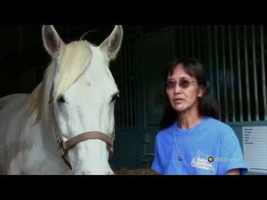 PBS Hawaii - HIKI NŌ Episode 505 | King Kekaulike High School | Horse Therapy