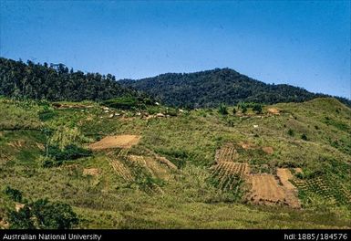 Okapa road - 9 miles to Okapa