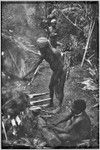 Pig festival, uprooting cordyline ritual, Tsembaga: men heap large stones to cook ritual meal