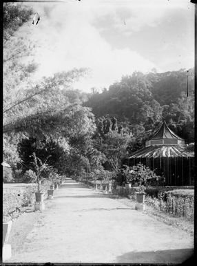 Botanical gardens [?], Rabaul, New Guinea, ca. 1929 / Sarah Chinnery