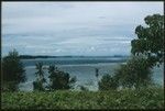 Coastal landscape