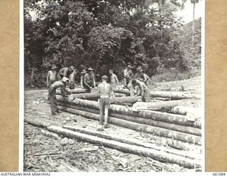 FINSCHHAFEN AREA, NEW GUINEA. 1943-11-11. TROOPS OF THE 2/3RD AUSTRALIAN PIONEER BATTALION BUILDING A BRIDGE ACROSS A CREEK ON THE NEW ROAD BETWEEN SCARLET BEACH AND SIMBANG