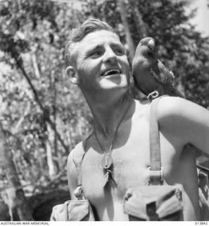 1942-12-14. PAPUA - GONA. CPL. J.R. MCNICHOL, SOUTH AUST., WITH HIS PARROT "IOROBAIWA JOE", RESCUED FROM NATIVE CARRIERS WHO HAD BEEN PLUCKING ITS FEATHERS FOR THEIR HEADDRESS. THE PARROT HAS ..