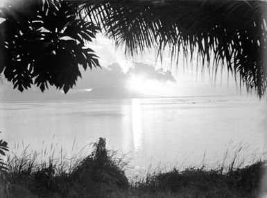 [Seascape framed by grass and trees]