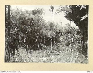 ALEXISHAFEN, NEW GUINEA. 1944-05-18. MEMBERS OF NO.9 PLATOON, A COMPANY, 35TH INFANTRY BATTALION MOVING ALONG A JUNGLE TRACK NEAR YELBECK MISSION TO POSITIONS NORTH OF ALEXISHAFEN. IDENTIFIED ..