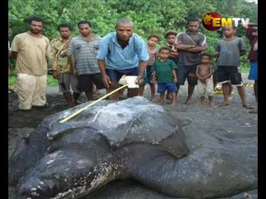 SAND MINING IMPACTS