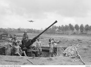 A Bofors 40mm anti-aircraft gun position manned by the 2/9th Light Anti-Aircraft Battery, Royal Australian Artillery, on the main fighter runway at Gili Gili airfield. A Kittyhawk fighter can be ..