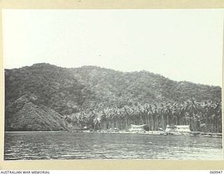 Dowa Dowa, Milne Bay, New Guinea. c February 1943. Camouflaged 155 mm guns of E Heavy Battery, AIF