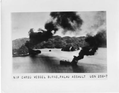 Japanese cargo vessel burns