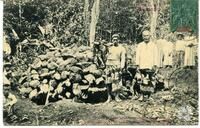 Iles Sous le Vent de TahitiHuahine. – Un Umuti (Four pour la cuisson des racines de "Ti") - Le bûcher, recouvert de pierres, la veille de la cérémonie