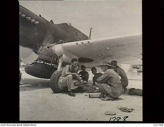 MOMOTE, LOS NEGROS ISLAND, ADMIRALTY ISLANDS. C. 1944-04. A WING OF A KITTYHAWK AIRCRAFT PROVIDES SHADE FROM THE TROPIC SUN FOR THESE WELL-KNOWN MEMBERS OF THE GROUND CREW OF NO. 76 (KITTYHAWK) ..