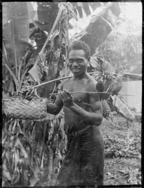 Man carrying pineapples with a woven basket and two parrots on a stick, Rabaul, New Guinea, ca. 1929, 2 / Sarah Chinnery