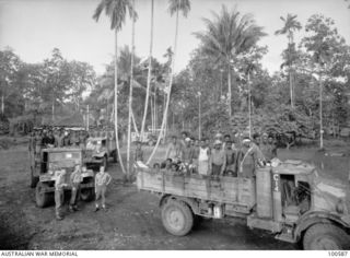 Lae, New Guinea. c. 1944-07-25. Truck loads of native labourers arriving at HQ New Guinea Force for allocation to their daily jobs