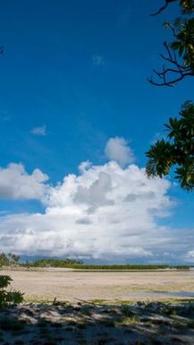 Tarawa general