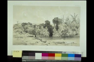 Entree de la riviere de Paiou, Iles Vanikoro / dessine par E. Goupil; lith. par Sabatier