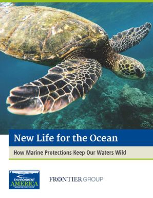 New Life for the Ocean - How Marine Protections Keep Our Waters Wild