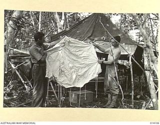 1943-01-14. NEW GUINEA. TO FEED TROOPS IN THE BUNA AREA SUPPLIES WERE DROPPED BY PARACHUTE FROM JAPANESE PLANES. TWO AUSTRALIANS EXAMINE A PARACHUTE WHICH DROPPED IN ALLIED LINES. (NEGATIVE BY ..