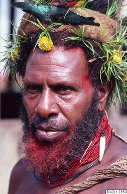 ["porträtt, fotografi, photograph"]