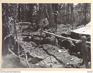 BOUGAINVILLE. 1945-04-05. TROOPS LINED UP ALONG WEAPON PITS FIRING AT JAPANESE WHO ATTEMPTED TO BREAK THROUGH AND GET AWAY AS TANKS CLEARED THE GULLY IN FRONT OF THE POSITION ON SLATER'S KNOLL