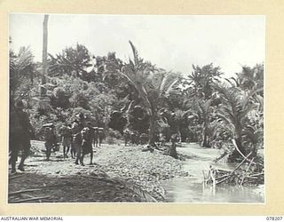 YAKAMUL, NEW GUINEA. 1945-01-09. MEMBERS OF THE 2/2ND INFANTRY BATTALION AND "JOCK FORCE" AND THEIR NATIVE CARRIERS MOVING ALONG A TRACK BY THE HARECH RIVER AS THEY MAKE FOR TONG WHILE ON A 40 DAY ..