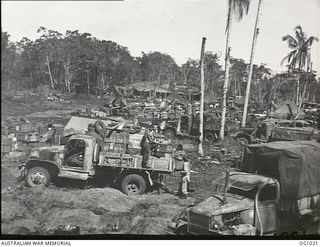 AITAPE, NORTH EAST NEW GUINEA. 1944-04-23. RAAF SUPPLIES AND STORES IN BIVOUAC AREA AFTER THEY HAD BEEN LANDED FROM LANDING SHIP TANKS IN WHICH RAAF GROUND FORCES TRAVELLED TO AITAPE