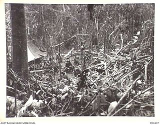 WEWAK AREA, NEW GUINEA. 1945-06-27. TROOPS OF 2/8 INFANTRY BATTALION, ABOUT 100 YARDS FROM THE FOOT OF MOUNT SHIBURANGU READY FOR THE DRIVE UP THE SLOPE TO ATTACK JAPANESE FORCES. THEY ARE BEING ..