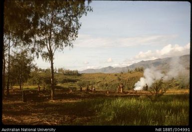 New gardens, Foinda