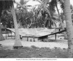 Galvanized metal drain natives used to catch fresh rain water, Rongerik Island, summer 1947