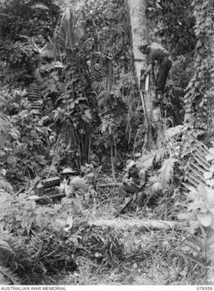 LAE, NEW GUINEA. 1945-03-11. SIGNALLERS OF THE NEW GUINEA SCHOOL OF SIGNALS OPERATING A 10 LINE UC SWITCHBOARD AT A TEMPORARY JUNGLE SIGNAL OFFICE. SEEN ARE FRAME D, FRAME P AND THE BOXES THERMINAL ..