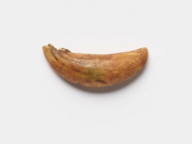 Tabua