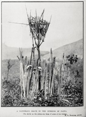 A cannibal's grave in the interior of Papua