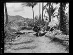 New Zealand soldiers and gun, Mono Island, Solomon Islands, during World War II