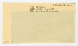 [Gleicheniaceae in New Caledonia, envelope IE41-137]