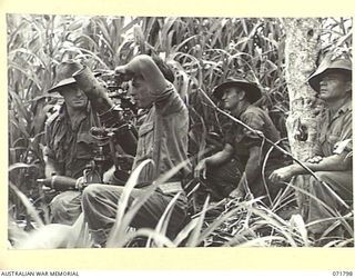 LAKONA, NEW GUINEA, 1944-03-29. A MORTAR DETACHMENT FROM THE 30TH INFANTRY BATTALION, POSITIONED IN KUNAI GRASS. SHOWN: NX136053 PRIVATE (PTE) J. HARAN; NX121239 PTE H. J. TROUGHTON; VX124546 PTE ..