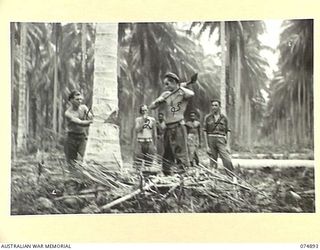 MILILAT, NEW GUINEA. 1944-07-22. PERSONNEL OF THE 4TH FIELD COMPANY, FELLING TREES ALONG THE ROUTE OF THE MILILAT SECTION OF THE MADANG-ALEXISHAFEN ROAD. IDENTIFIED PERSONNEL ARE:- VX120024 SAPPER ..