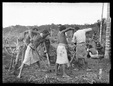 Work Gang Planting Yams