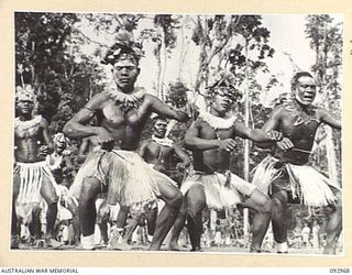 TOROKINA, BOUGAINVILLE. 1945-06-10. MADANG NATIVES, NOTED FOR THEIR FINE PHYSIQUE AT THE NATIVE SING-SING AT THE WEBB ROAD COMPOUND ON THE NUMA NUMA TRAIL WHICH WAS ATTENDED BY A LARGE NUMBER OF ..