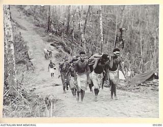 WEARNE'S HILL, CENTRAL BOUGAINVILLE, 1945-06-27. NATIVES BRINGING IN WOUNDED 7TH BATTALION AMF TROOPS FROM THE NUMA NUMA TRAIL AREA. THE FIRST GROUP IS CARRYING V64795 PRIVATE J. P. SPORN