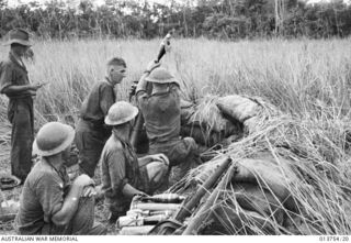 1942-12-08. NEW GUINEA. GONA. TREES IN THE BACKGROUND CONTAIN JAPANESE SNIPERS. AUSTRALIAN MORTOR CREWS IN ACTION 150 YARDS FROM GONA