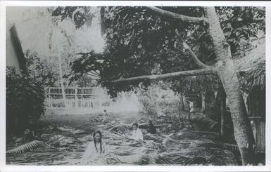 Tahitians plaiting palms