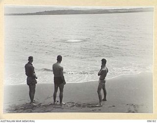 CAPE PUS, WEWAK AREA, NEW GUINEA, 1945-09-07. MEMBERS OF 2/6 INFANTRY BATTALION ON A FISHING PARTY, WATCH THE FOAMY SPOT IN THE WATER CAUSED BY THE GRENADE THEY HAD THROWN IN. THEY ARE ABOUT TO ..