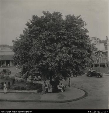 People seated under a tree