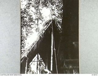 1942-08-06. THE INTERIOR OF A HUT BEING COMPLETED FOR THE TROOPS ON OUTPOST WORK. NEW GUINEA. (NEGATIVE BY PARER)