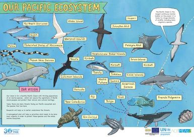 Our Pacific Ecosystem (poster)